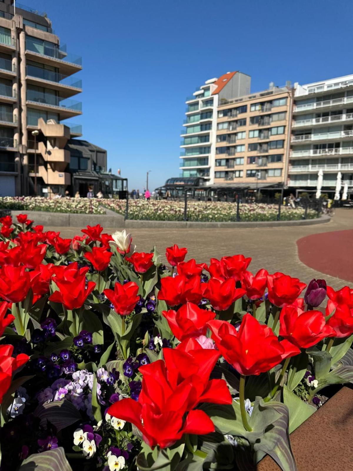 Luxe Studio/Suite Met Zeezicht En Volle Zon Knokke-Heist Exterior photo